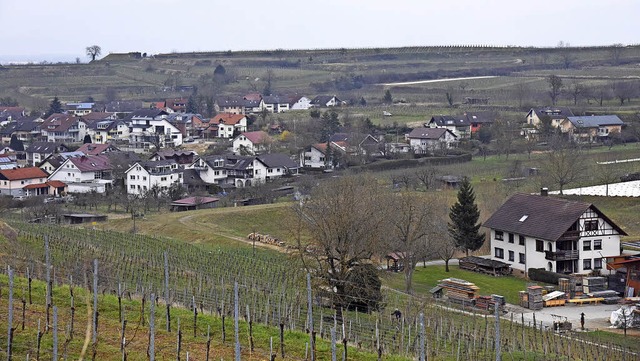 Im Tal Richtung Schelinger Hhe gibt e...baugebieten umgewandelt werden sollen.  | Foto: Markus Zimmermann