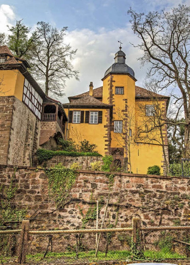 Die Sicht auf Schloss und Burg in Mahl...taltungssatzung soll dies garantieren.  | Foto: SAndra DEcoux-Kone