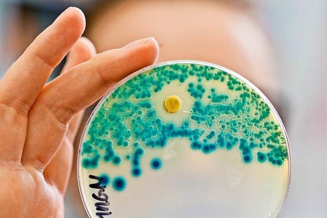Bakterien sind immer fter gegen Antibiotika resistent
