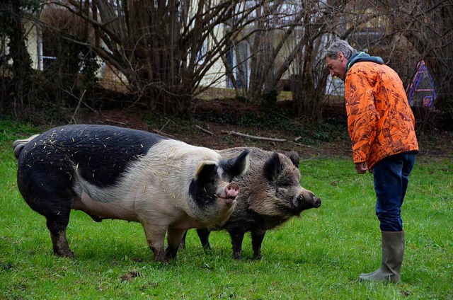 Konrad (hinten) und Alfred interessier...ch nur fr ihr Herrchen Josef Burbach.  | Foto: Felix Lieschke