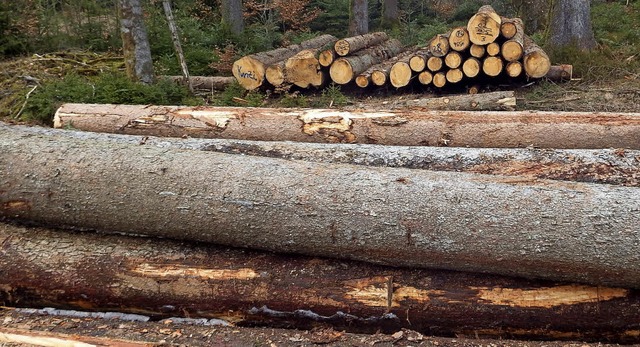 Nach dem Sturmtief Burglind wird im Wald immer noch Holz zwischengelagert.   | Foto: Wolfgang Adam