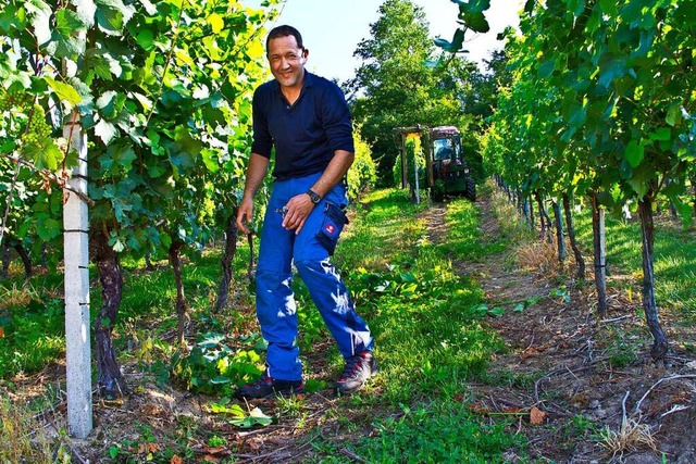 Martin Frey vom Denzlinger Weingut Frey.  | Foto: privat