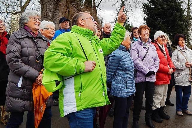 3000-Schritte-Aktion fhrt auf die Adelberg-Route in Rheinfelden