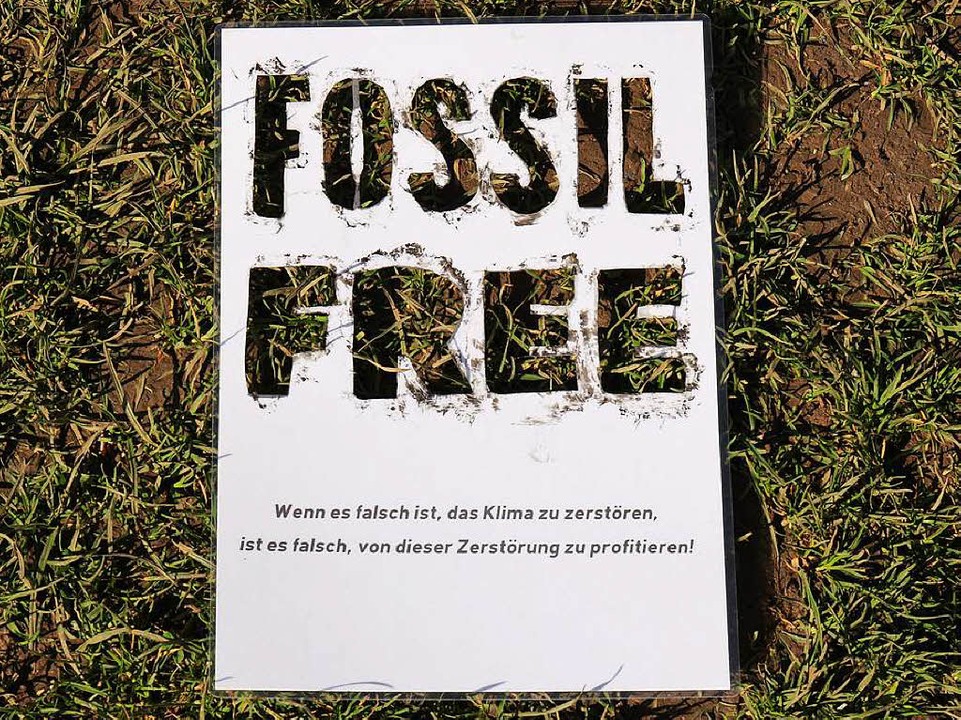 Neben ihrem Studium setzen sich die Ak... ein Ende fossiler Energiequellen ein.  | Foto: Simon Voss