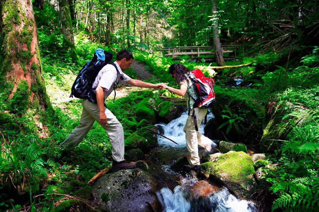 In der Freiburger Umgebung gibt es unzhlige Wandergebiete.  | Foto: dpa-tmn