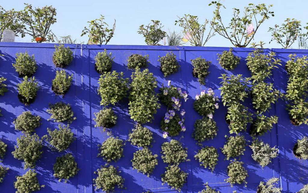 Ideen für den heimischen Garten - Kollektive - Badische Zeitung