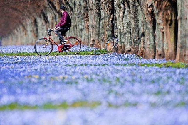 Der Frhling ist da – das sind die Gewinner und Verlierer