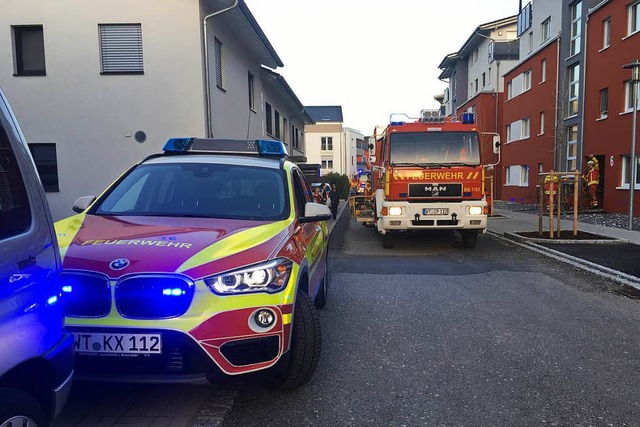 Wegen eines Kchenbrandes musste die F...dis-Strae in Bad Sckingen ausrcken.  | Foto: Feuerwehr Bad Sckingen
