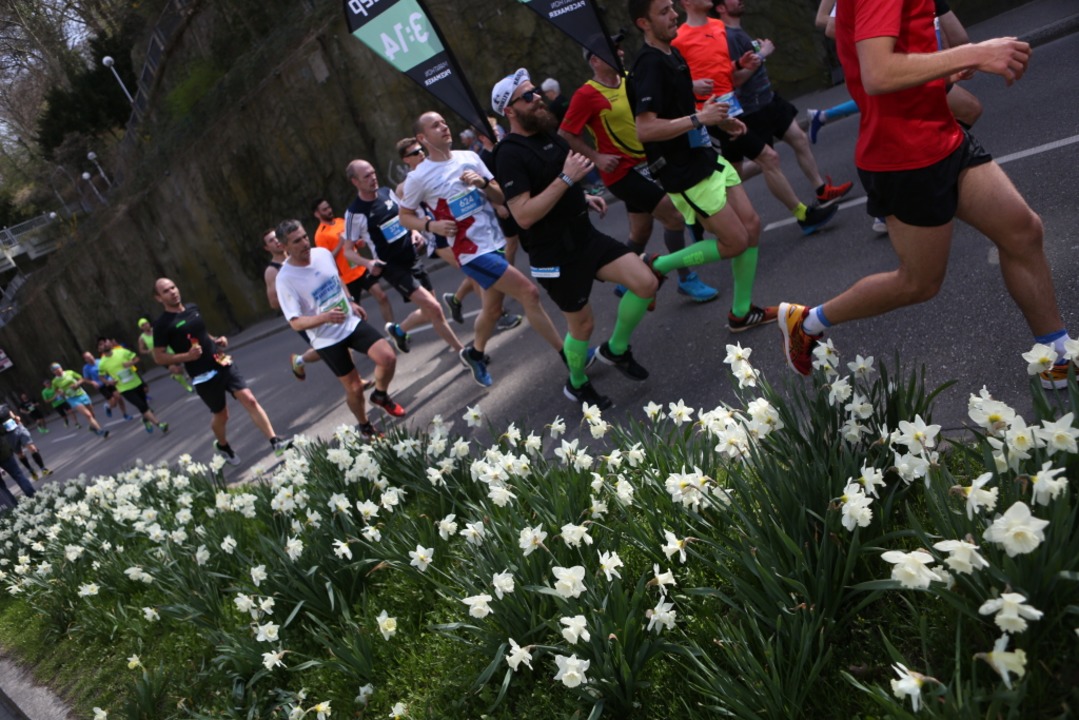 Rund 10.000 Teilnehmer gingen beim 15. Freiburg Marathon auf die Strecke.  | Foto: Janos Ruf