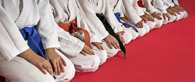 Kampfkunst wie Karate hat es Arno Harter angetan.   | Foto: Symbolfoto/Foto: fotoinfot (stock.adobe.com) /Katrin Dorfs