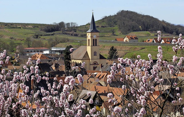 Die Zahl der Gsteanknfte in Oberrotw...em Vorjahr  um 6,5 Prozent gestiegen.   | Foto: Herbert Trogus