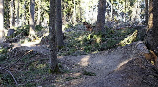 Im Brunlinger Wald sind die ersten Schikanen fr die Strecke aufgebaut.  | Foto: Guy Simon