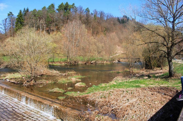 Hochwasserschutz: Heute wird entlang d...eschwindigkeit des Flusses abzusenken.  | Foto: Anja Bertsch