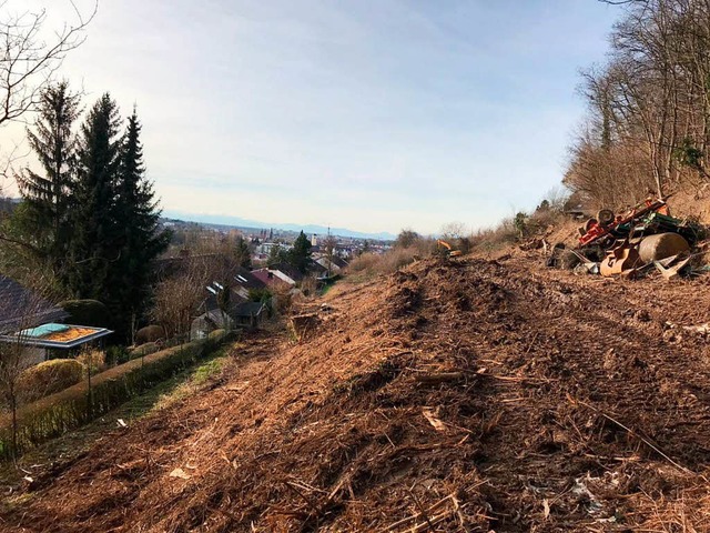 Die Rodungsarbeiten am Altenberg haben bereits begonnen.  | Foto: Privat 