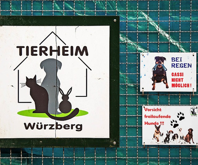 In dem Tierheim in Michelstadt soll der Hund nun untergebracht sein.   | Foto: dpa