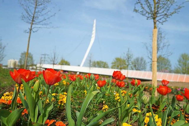 Die Blumen blhen, die Brcke steht bereit: Die Landesgartenschau kann beginnen.  | Foto: Landesgartenschau GmbH