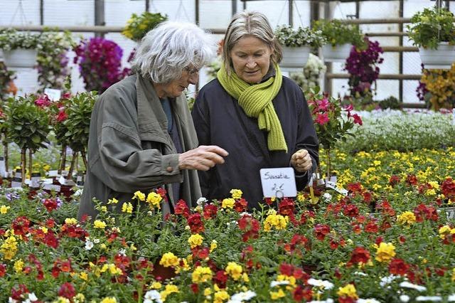 4. Gartenfestival im Schloss Ebnet