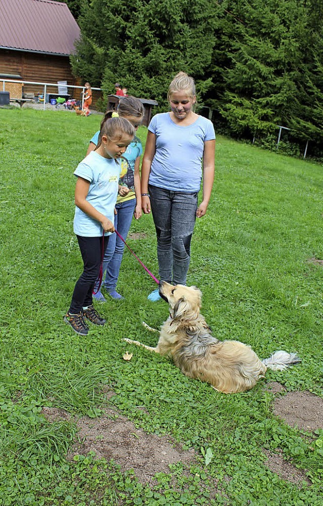 Beim Kinderferienprogramm hatten die jungen Hundefreunde sehr viel Spa.  | Foto: Petra Mann