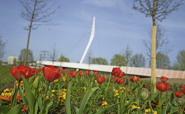 Die Blumen blhen, die Brcke steht be... Die Landesgartenschau kann beginnen.   | Foto: Landesgartenschau GmbH