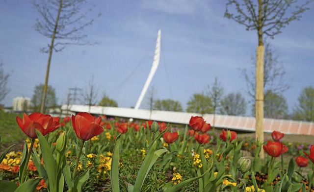 Die Blumen blhen, die Brcke steht be... Die Landesgartenschau kann beginnen.   | Foto: Landesgartenschau GmbH