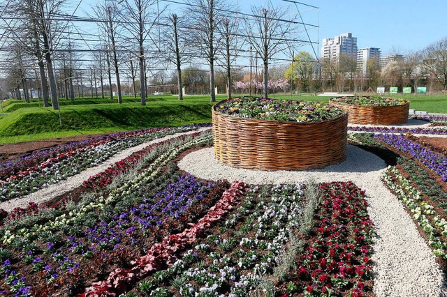 Florales vor Hochhusern &#8211; Blick auf das Landesgartenschaugelnde in Lahr  | Foto: Christoph Breithaupt