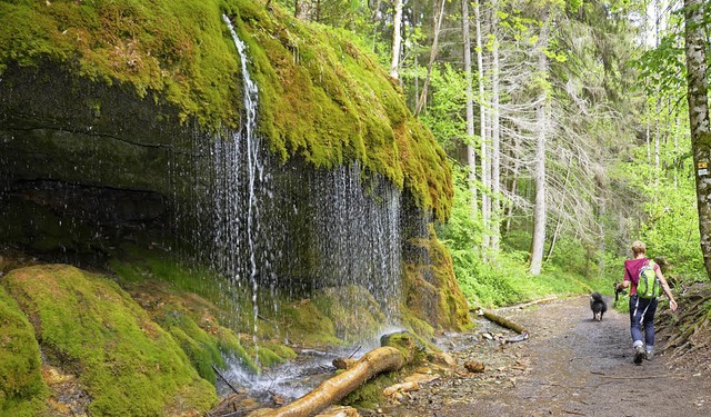 Die wildromantische Wutachschlucht ist... einheitliches Rundwegekonzept geben.   | Foto: Archivfoto:Martin Wunderle