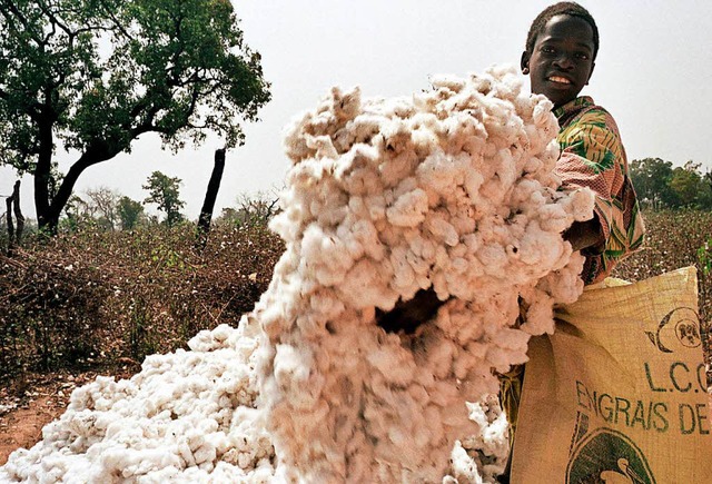 Baumwolle aus sauberer Produktion ist ein Ziel von H&amp;M.  | Foto:  AFP GmbH