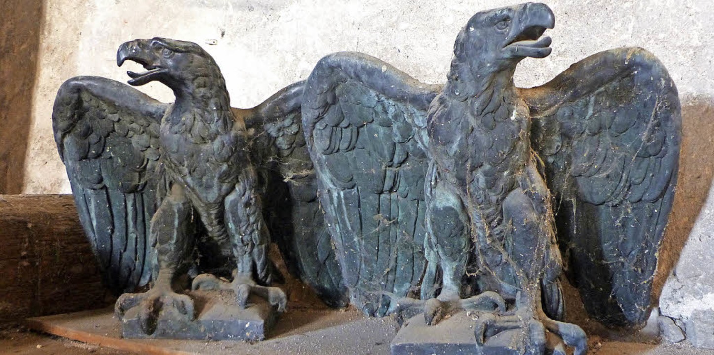 Die beiden verbliebenen  Adler im Maga... weitere Exemplare sind verschwunden.   | Foto: Jürgen Simon (5), Martin Wendel (1)