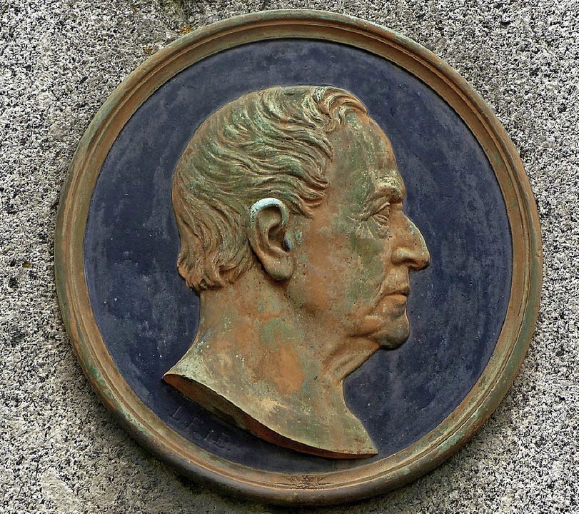 Medaillon mit Portrt von Moltke am Ei...Denkmal. Am Endinger Denkmal fehlt es.  | Foto: Jrgen Simon