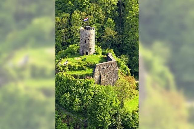 Rund um die Burgen im Kinzigtal geht es im Schwarzwlder Freilichtmuseum