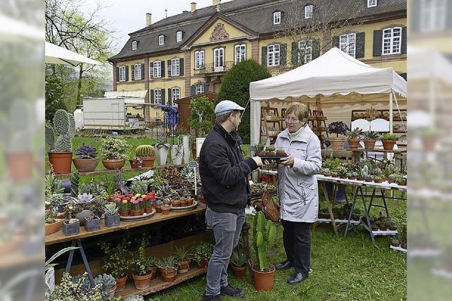Bis Sonntag ist Gartenfestival Ebneter Schlosspark