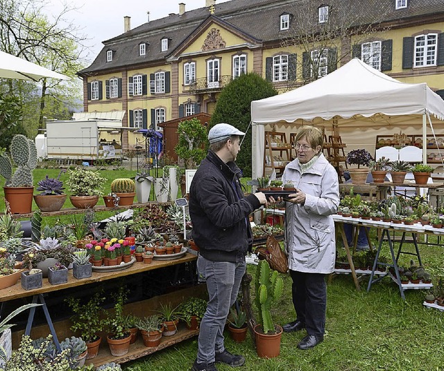 Im Ebneter Schlosspark findet bis Sonntag das Gartenfestival statt.   | Foto: Ingo Schneider