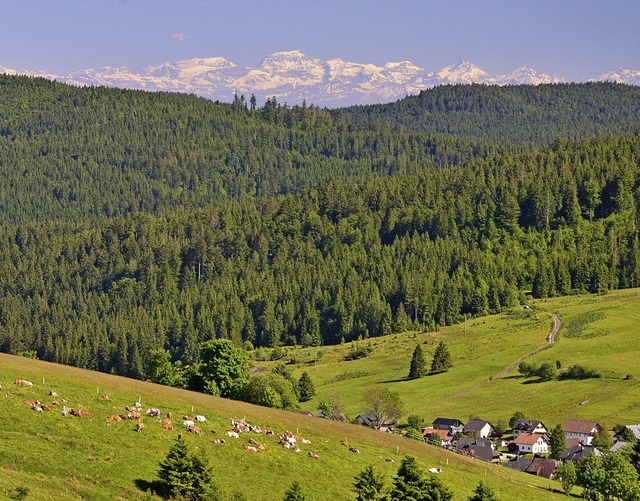 So knnte der Ausblick von der geplant...stischen Angebotes in Bernau schaffen.  | Foto: Manfred Schn