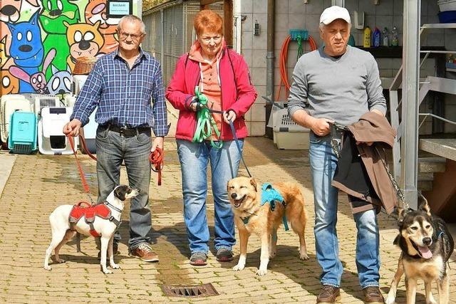 571 Tiere waren nicht mehr erwnscht