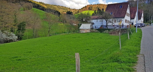 In dieser noch grnen Baulcke an der ...it jeweils sechs Wohnungen entstehen.   | Foto: Julius Steckmeister