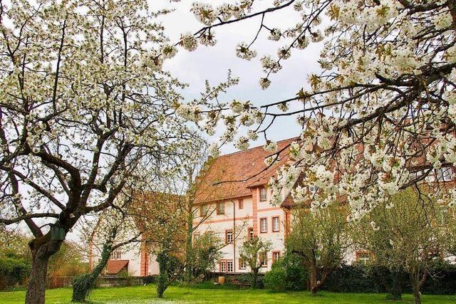 Fotos: Es grnt und blht in Heitersheim