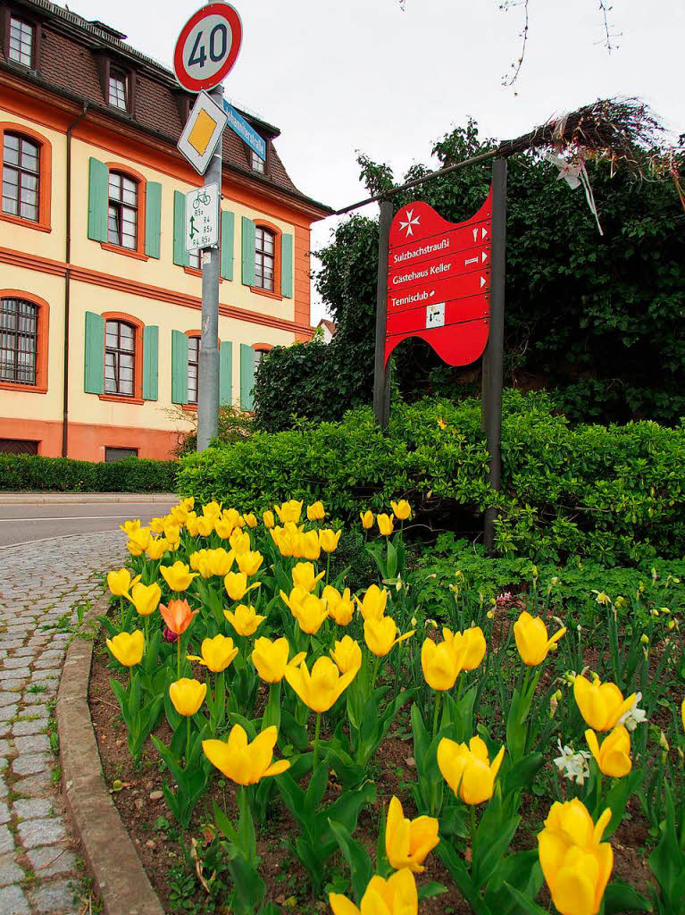 Der Schloss- und Rmerpark in Heitersheim ist ein beliebtes Ausflugsziel, besonders jetzt, wenn es grnt und blht.