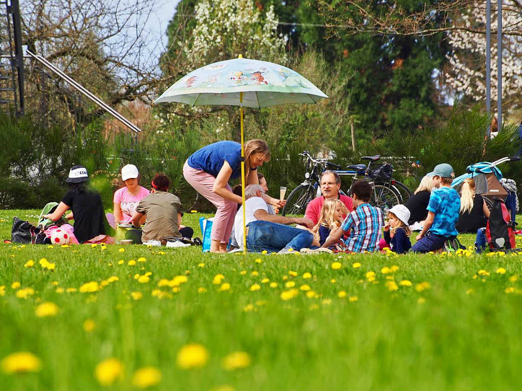 Picknick auf der Blumenwiese mit der ganzen Familie.