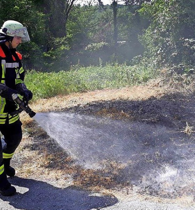 In Todtmoos brannten zwei Grasflchen.  | Foto: Symbolfoto: Feuerwehr