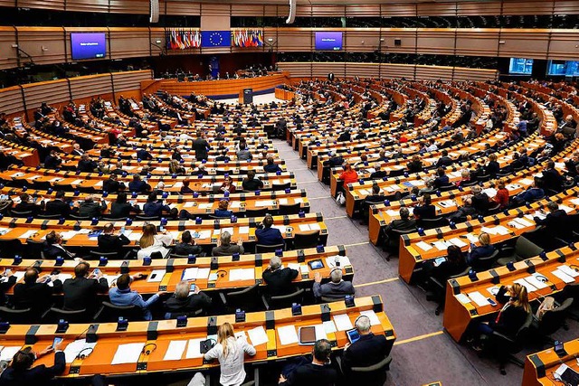Eine Prozenthrde wrde helfen, die po...e im EU-Parlament sinnvoll zu bndeln.  | Foto: dpa