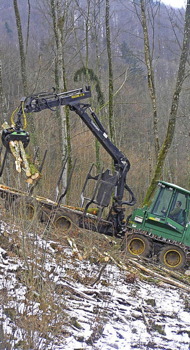 Schweres Gert kommt bei den Durchforstungsarbeiten zum Einsatz.  | Foto: Edelgard Bernauer