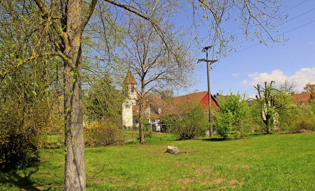 Der alte Spielplatz in Hertingen wird ... (links im Bild) nicht gefllt werden.  | Foto: Jutta Schtz