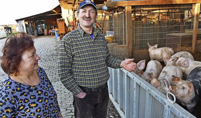 Michaela und Martin Schlegel bei ihrer Schweinebande. | Foto: Fotos: Jürgen Dettling Michaela und Martin Schlegel bei ihrer Schweinebande. | Foto: Fotos: Jürgen Dettling