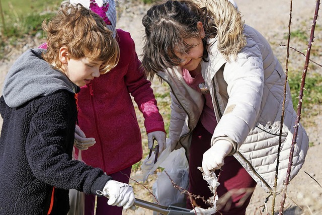 Sommerbergschüler der Klasse 4a ziehen Müll aus den Dornen. | Foto: Florian Schlosser Sommerbergschüler der Klasse 4a ziehen Müll aus den Dornen. | Foto: Florian Schlosser