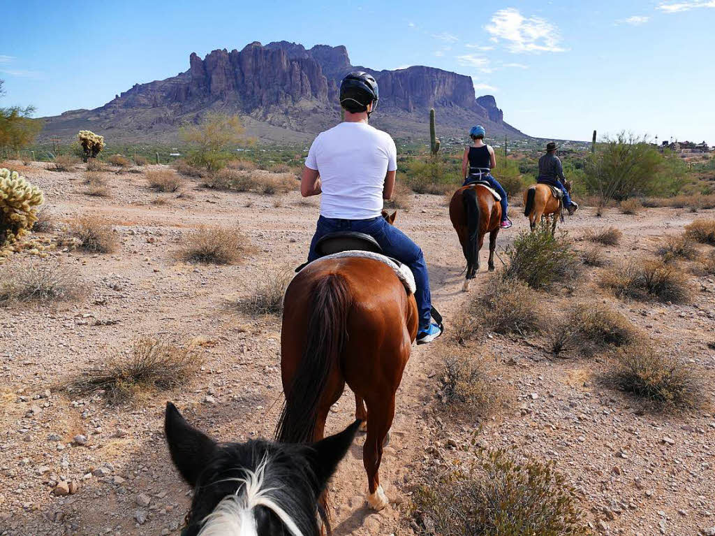 Wilder Westen pur: Pferderitt in der  Sonora-Wste