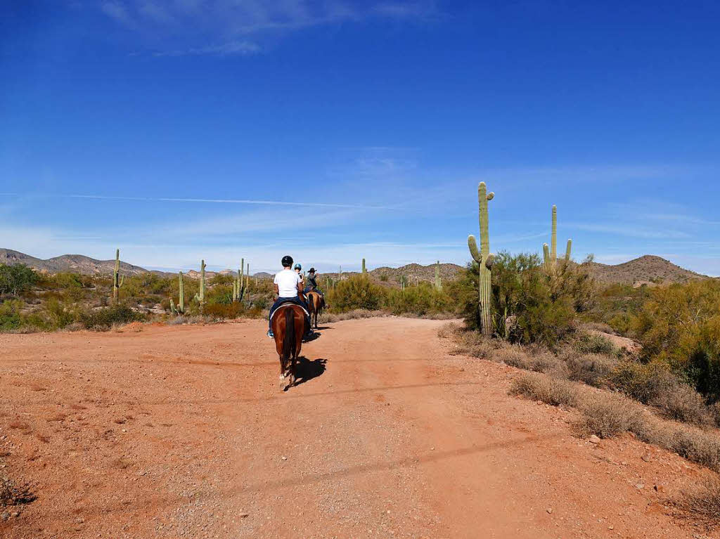 Wilder Westen pur: Pferderitt in der Sonora-Wste