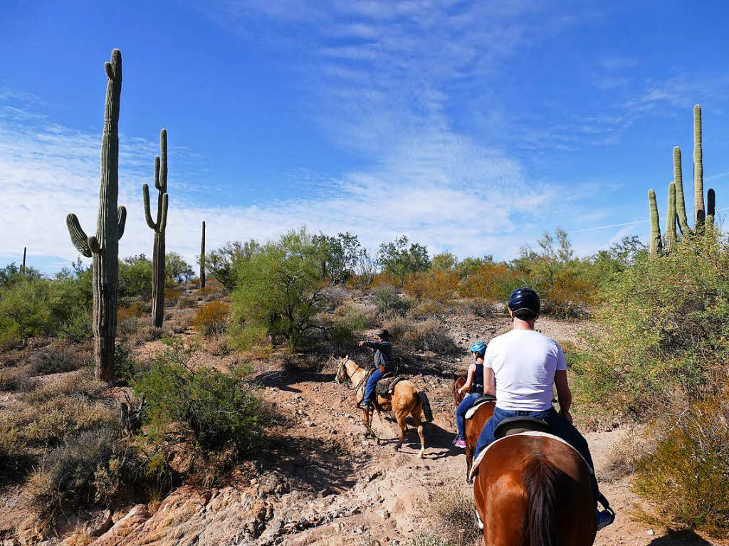 Wilder Westen pur: Pferderitt in der Sonora-Wste