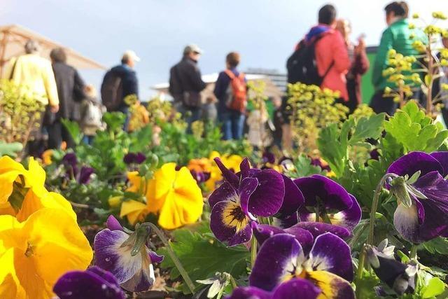 Landesgartenschau hat am Wochenende lnger geffnet