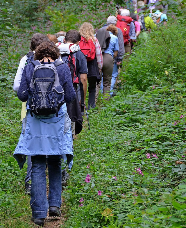 Mit einem Trekkingcamp soll Wanderern ...s-Au ein Aufenthalt ermglicht werden.  | Foto: Archivfoto: Axel Kremp