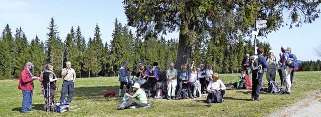 Waldkircher Wanderer auf der Fahrenberger Hhe.   | Foto: Verein